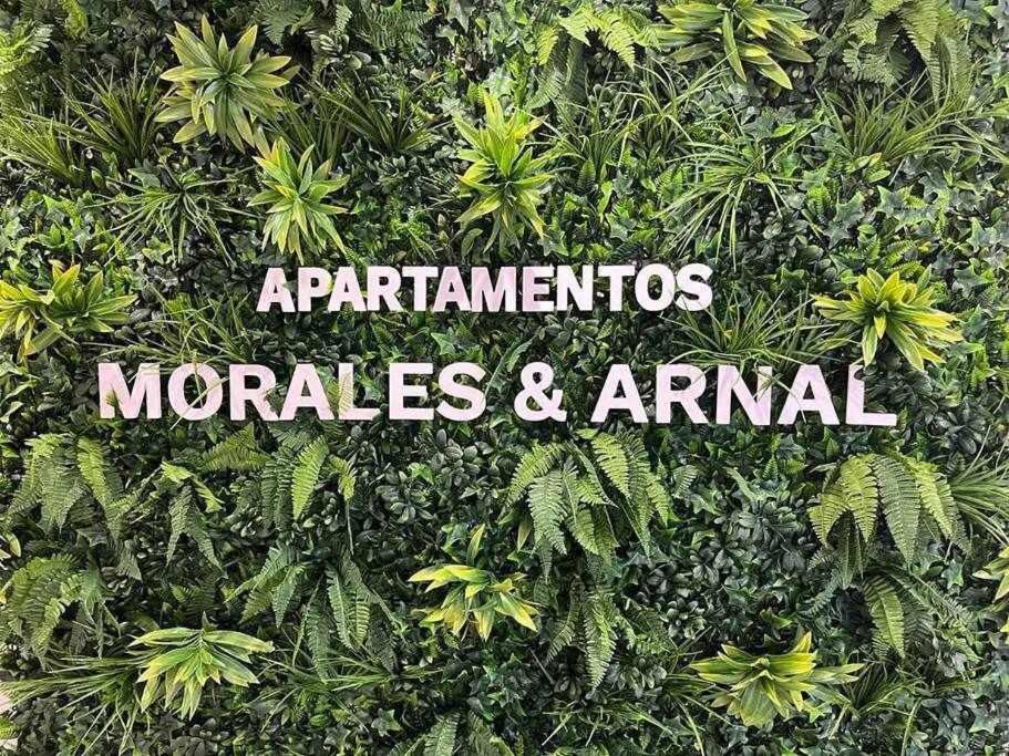 XX D Apartamentos Morales & Arnal Ronda Exteriör bild